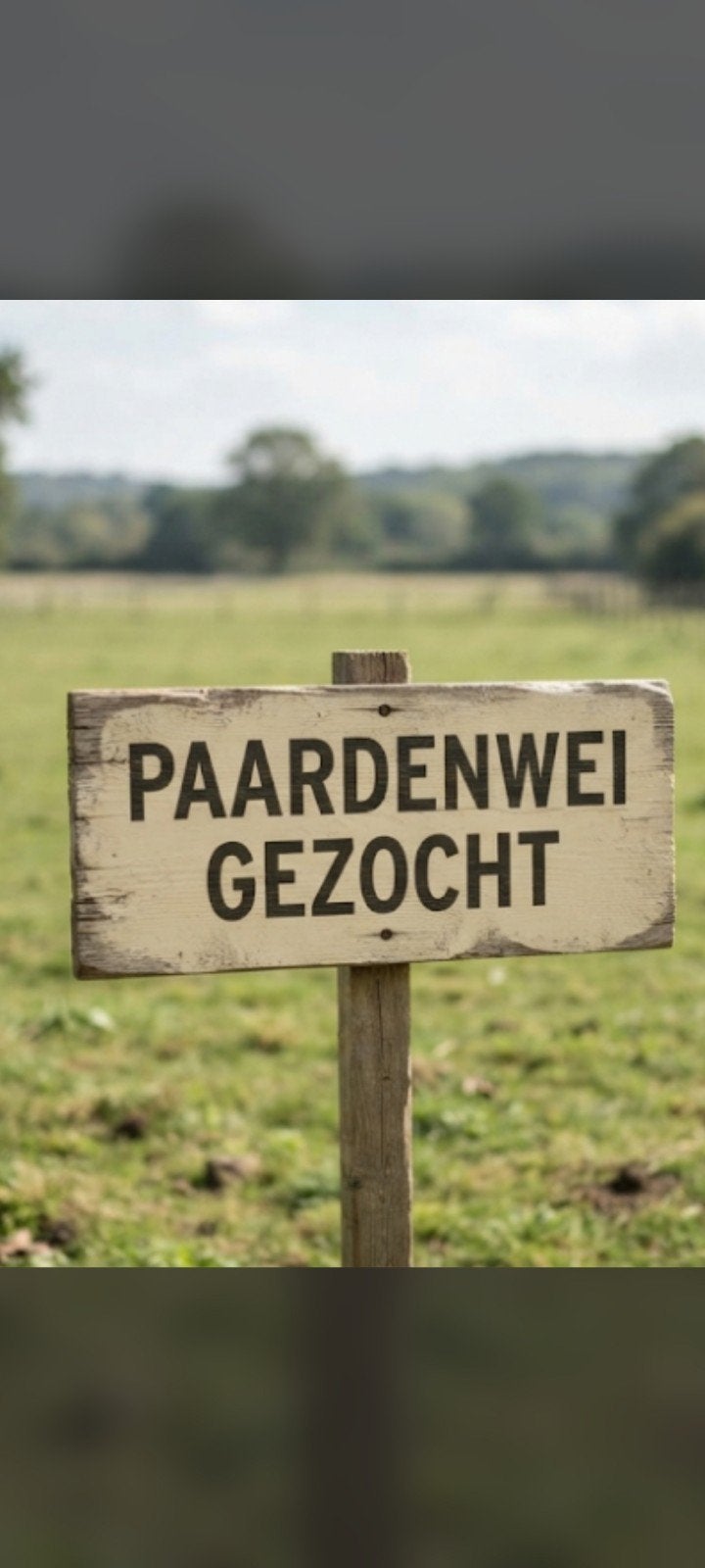 Gezocht: Paardenwei te huur in Zutendaal, Ophalen, Gebruikt, Overige disciplines