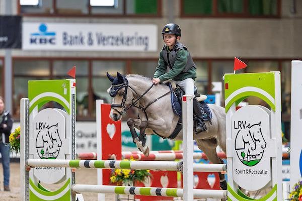 Betrouwbare springpony (b 1,27), B, Springpony