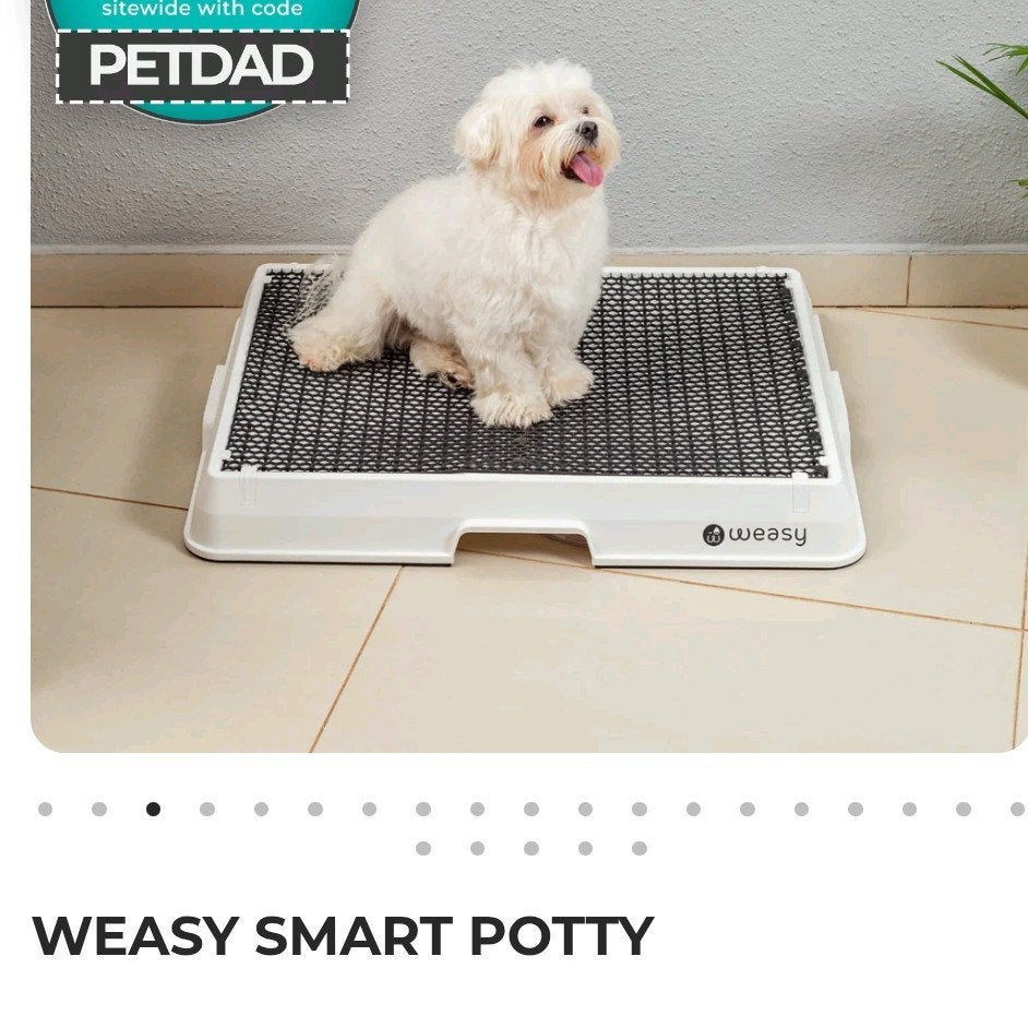 Potty intelligent Weasy de luxe à vendre (nouveau !), Enlèvement ou Envoi