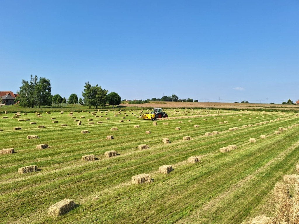 Hooi, kleine pakjes, Ophalen