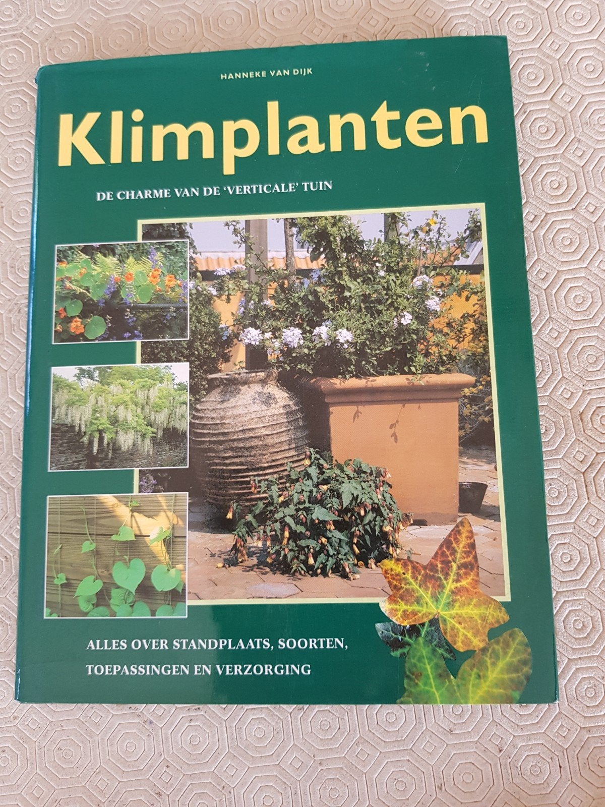 livre : plantes grimpantes, Enlèvement ou Envoi, Comme neuf, Hanneke Van Dijk, Jardinage et Plantes de jardin