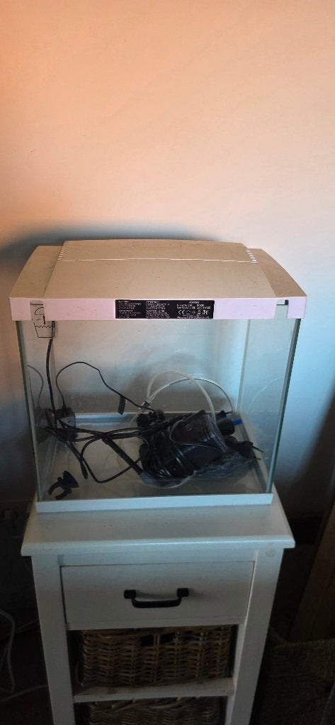 AQUARIUM TE KOOP INCL. toebehoren, Enlèvement, Poissons inclus, Comme neuf, Meuble d'aquarium
