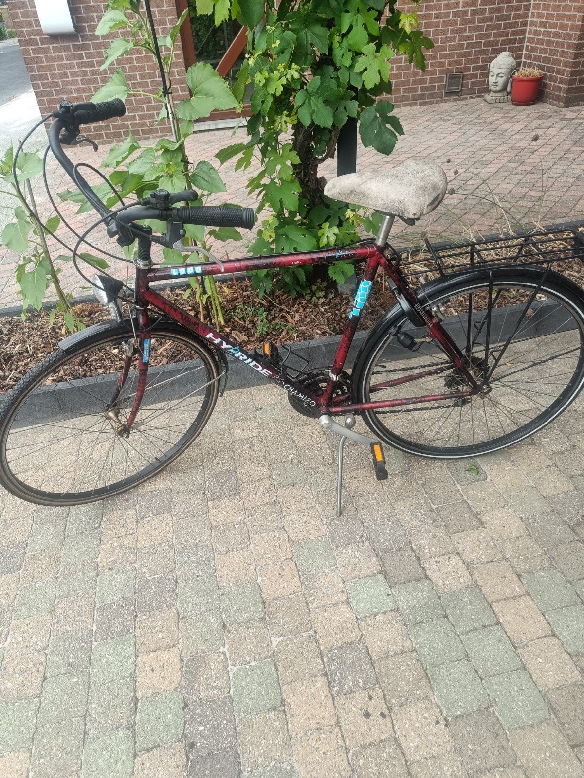 Stationsfiets mannen, Fietsen en Brommers, Ophalen
