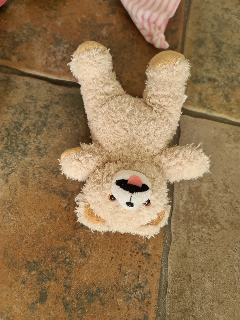 knuffel beer ongeveer 20 cm groot, Ophalen, Zo goed als nieuw, Beer