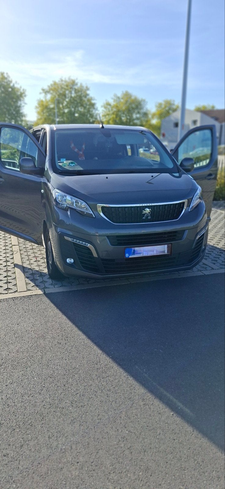Peugeot Expert, Stof, Particulier, 6 deurs, Expert Combi