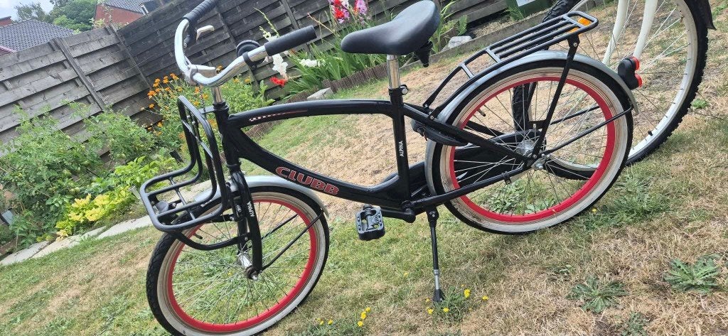 Kinderfiets, Enlèvement, Utilisé, 20 pouces ou plus, Alpina