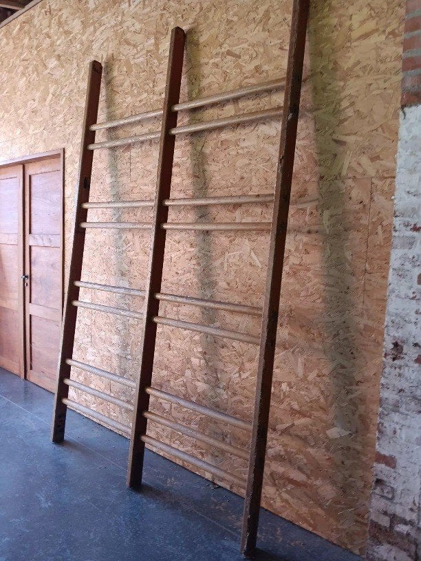 Klimrekken uit sportzaal, Doe-het-zelf en Bouw, Hout en Planken, Ophalen, Gebruikt, 25 tot 50 mm, 250 tot 300 cm