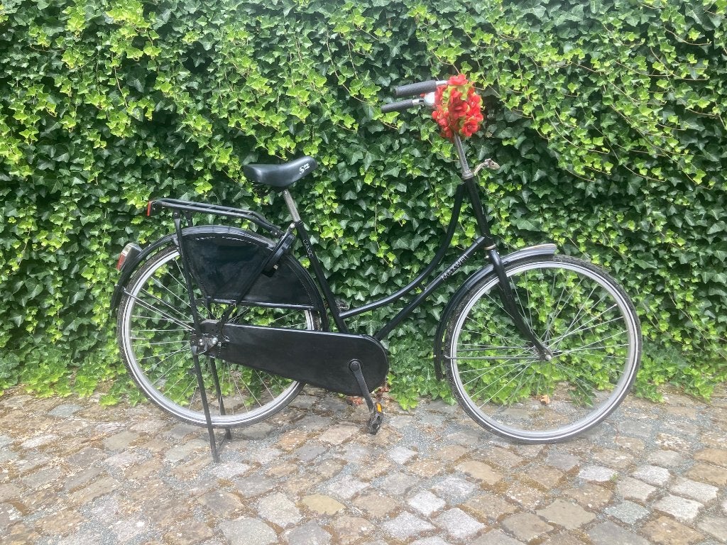 hollandse fiets, Fietsen en Brommers, Ophalen, Gebruikt, Terugtraprem