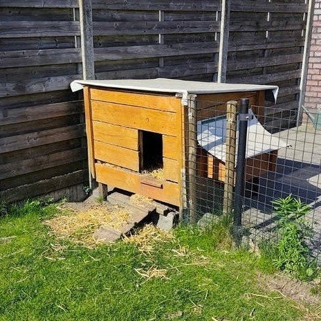 Kippenhok, Dieren en Toebehoren, Pluimvee | Toebehoren, Ophalen, Gebruikt, Kippenhok of Kippenren
