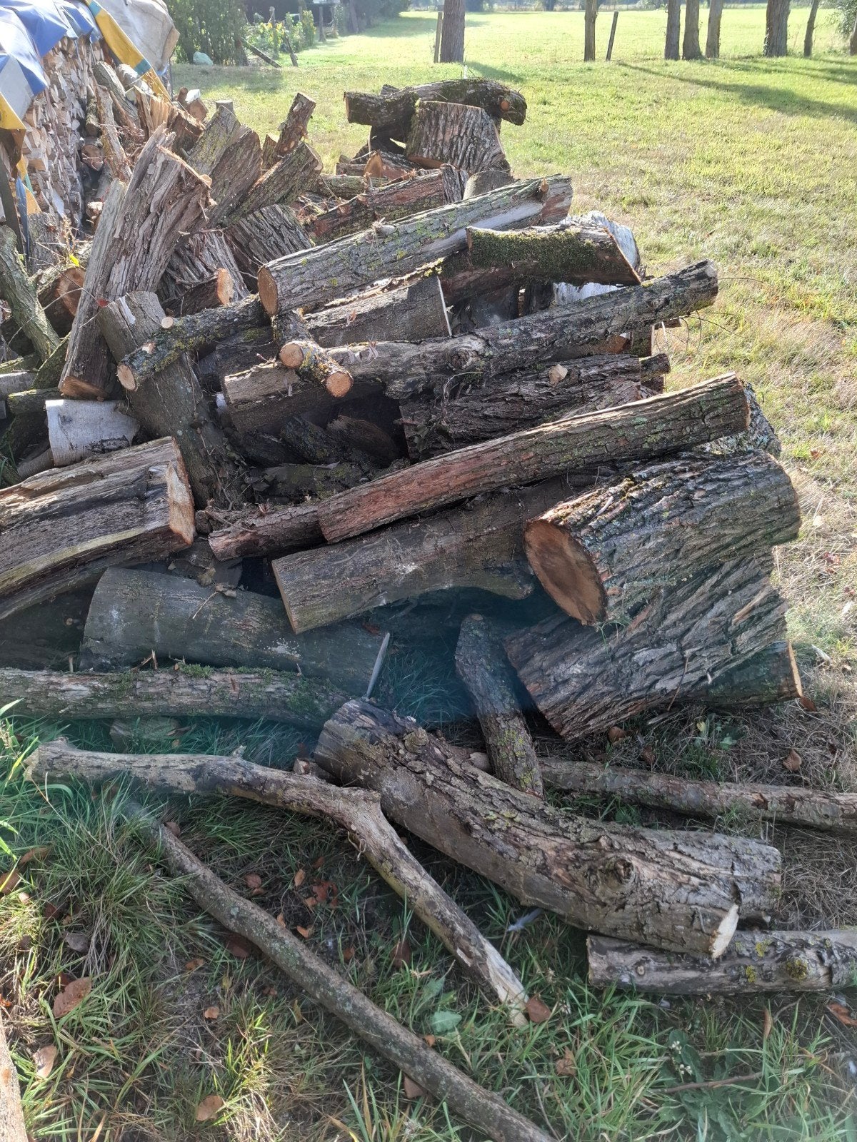 half droog wilgen hout, Tuin en Terras, Ophalen