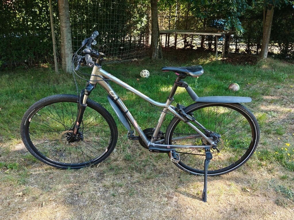 Vélo de montagne Liv Rove S pour femme - corail fluo argenté, Giant, Enlèvement, Utilisé, Plus de 20 vitesses