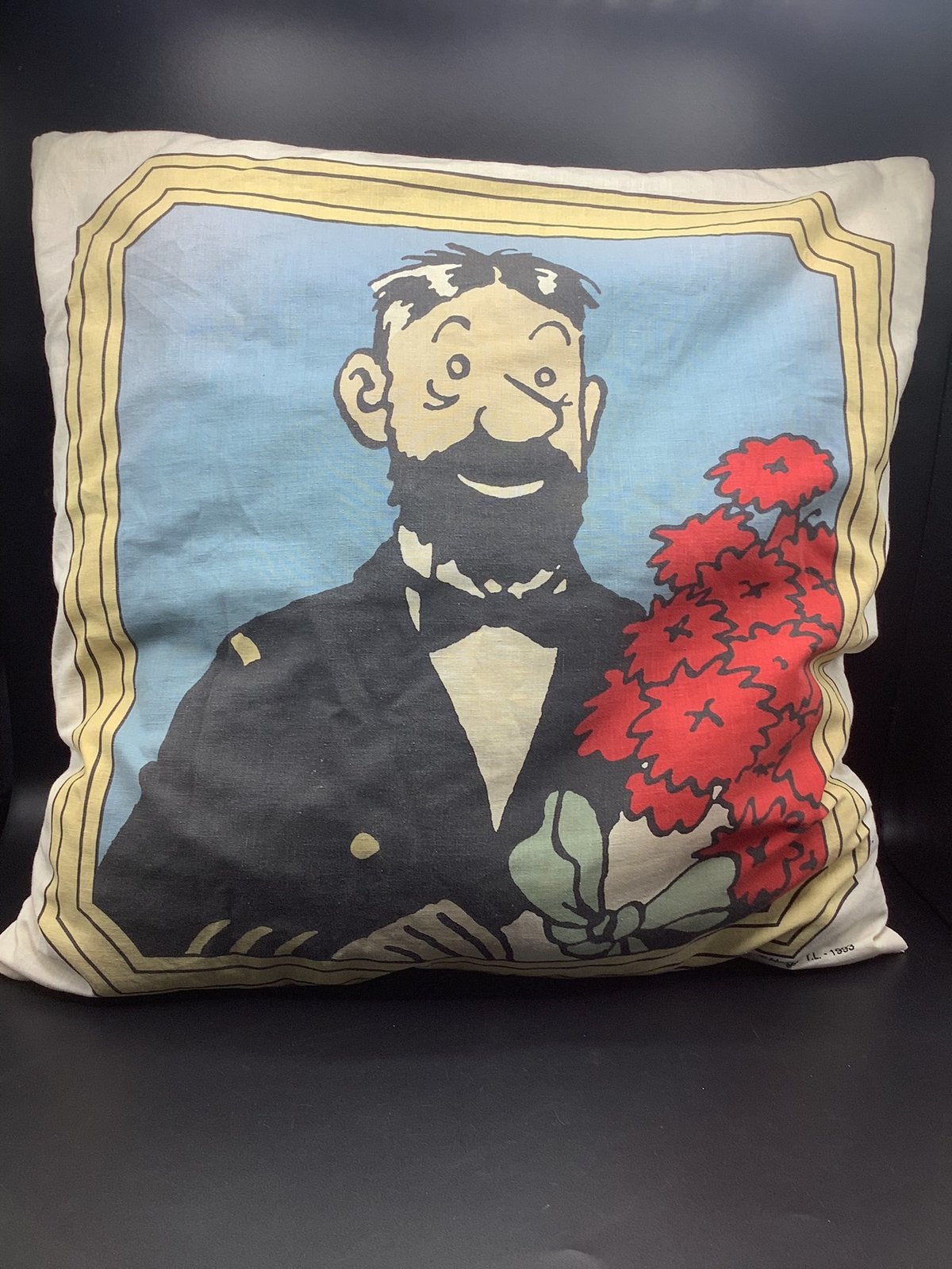 Coussin Capitaine Haddock, Collections, Enlèvement ou Envoi, Comme neuf