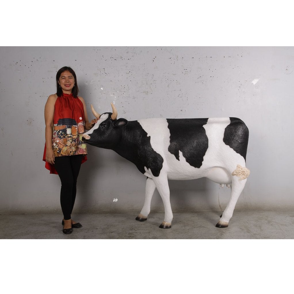 Koe — Hoogte koe 175 cm - gewicht 28,2 kg, Ophalen, Nieuw