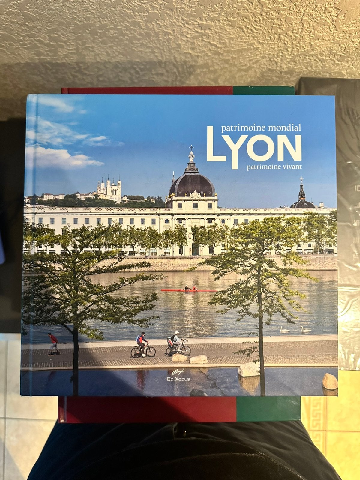 Lyon, patrimoine mondial, patrimoine vivant, Enlèvement ou Envoi