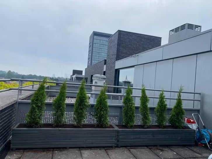 Prettige plantenbakken met klimrekken!, Tuin en Terras, Bloembakken en Plantenbakken, Hout, Tuin, Ophalen of Verzenden