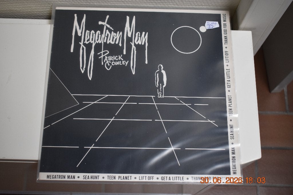 2 LP's : "Patrick Cowley", Cd's en Dvd's, Vinyl | Overige Vinyl, Beschermende buitenhoes, Ophalen of Verzenden, Gebruikt, LP