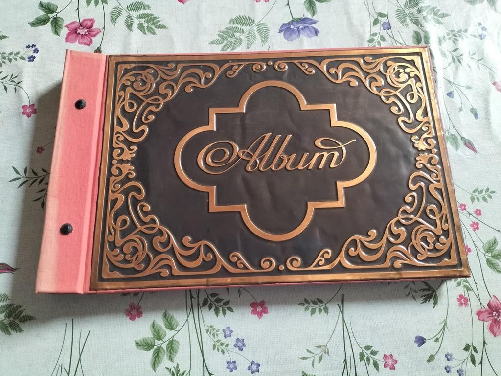 Album photo vintage avec gaufrage en bronze, TV, Hi-fi & Vidéo, Albums photo & Accessoires, Enlèvement ou Envoi, Comme neuf, Album photo