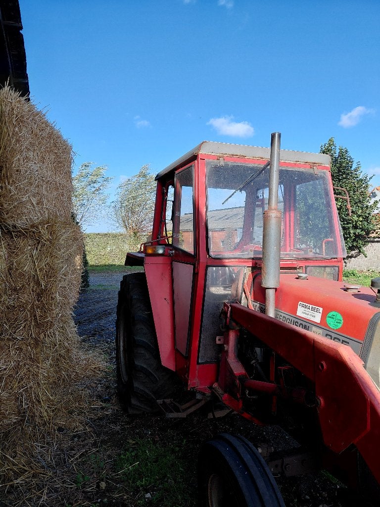 massey ferguson 265, Zakelijke goederen, Ophalen, Massey Ferguson