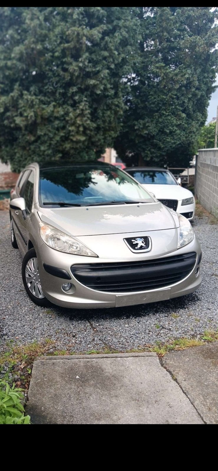 Peugeot, Auto's, Peugeot, Particulier, Alarm, Te koop, Benzine