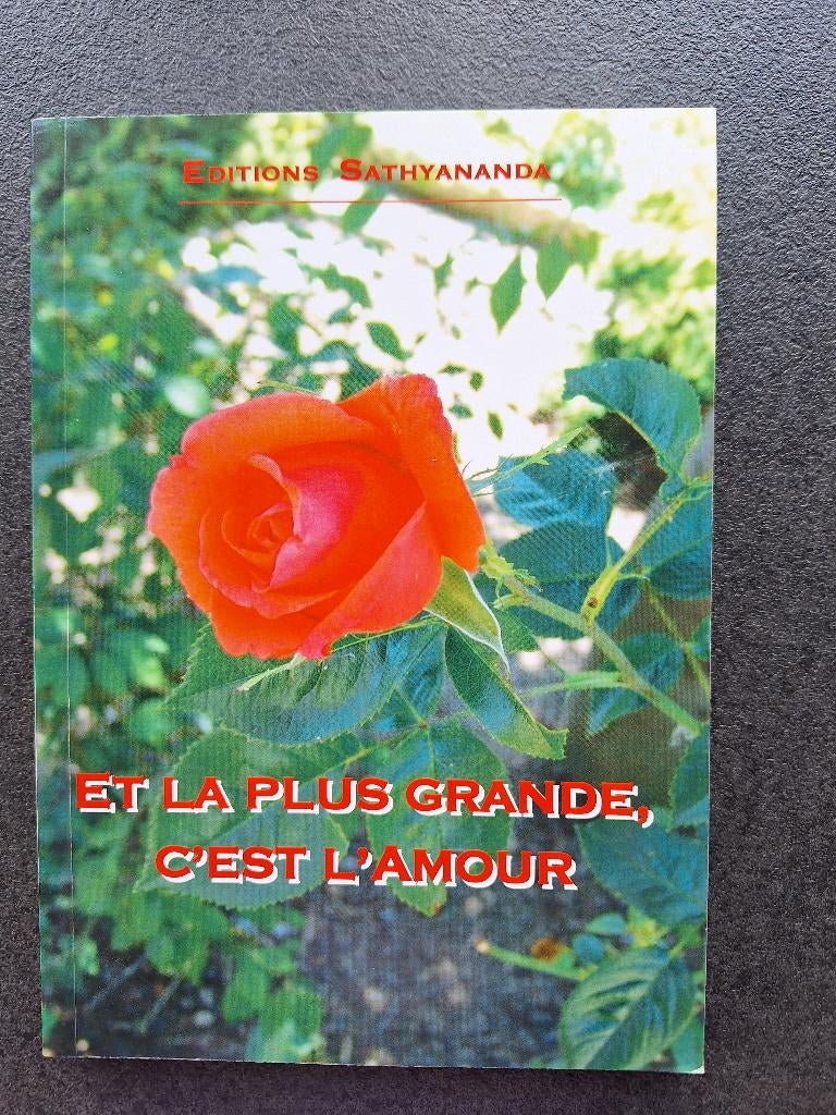 Et la plus grande, c'est l'amour - Anne-Marie Marwaha, Comme neuf, Enlèvement, Annemarie Marwaha, Religion