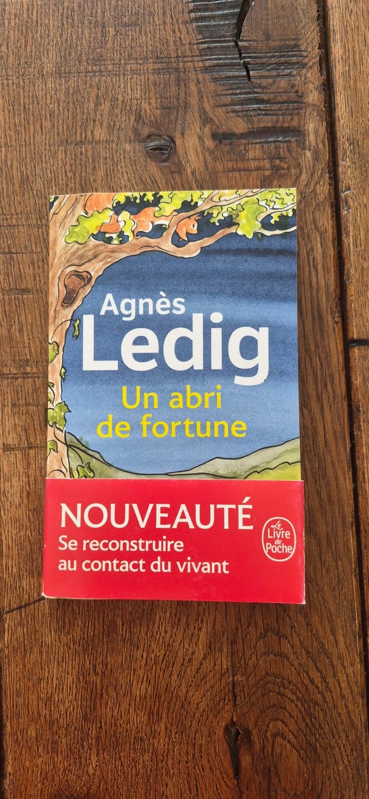 " Un abri de fortune " de Agnès Ledig, Livres, Enlèvement ou Envoi, Neuf, Agnès Ledig