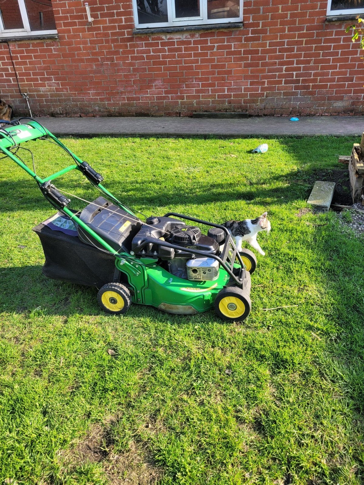 Tondeuse professionnelle John Deere prête à l'emploi, Jardin & Terrasse, Tondeuses à gazon, Enlèvement, Bac de ramassage
