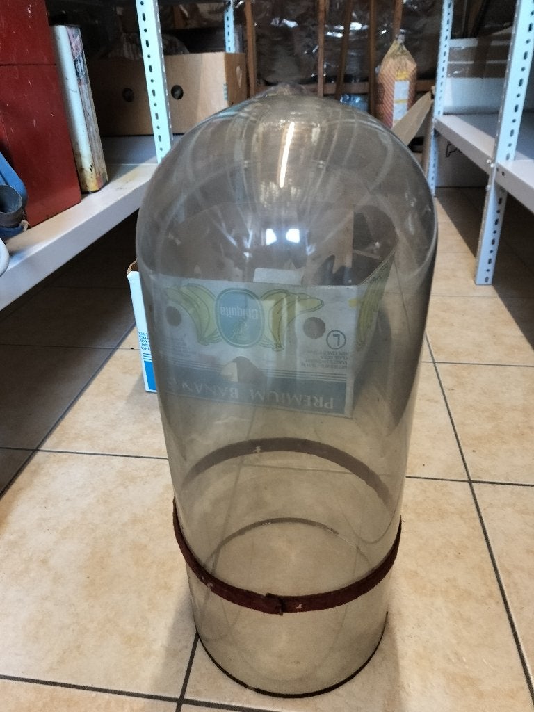 Grote Vintage / Antieke Glazen Stolp, Antiek en Kunst, Ophalen