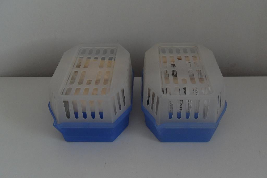 2 ABSORBEURS d'humidité BISON avec 5 sacs de sel, Enlèvement, Seau, Bac ou Chariot à balais