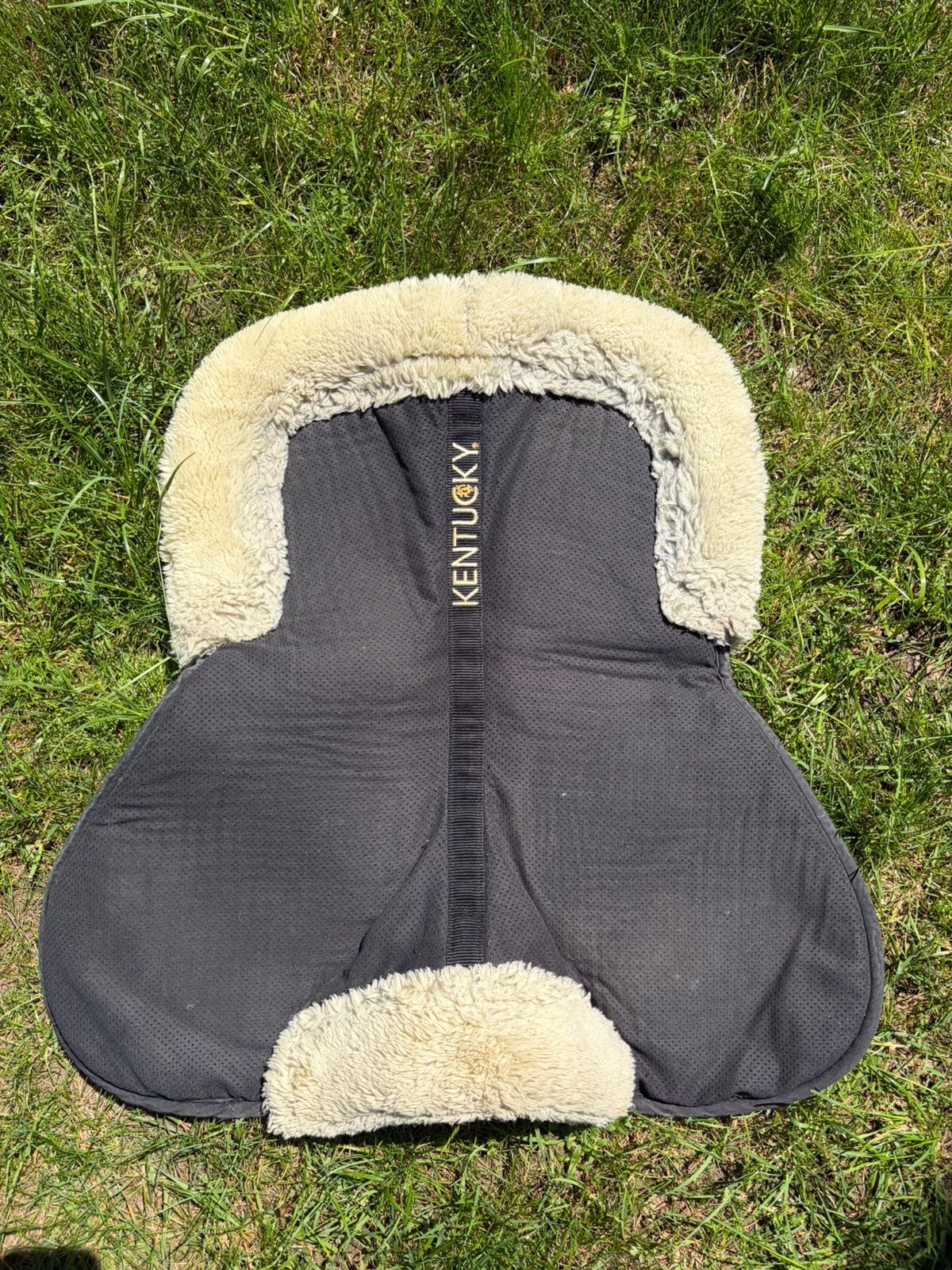 montagnes russes du Kentucky, Animaux & Accessoires, Laine, Noir, Enlèvement ou Envoi, Comme neuf