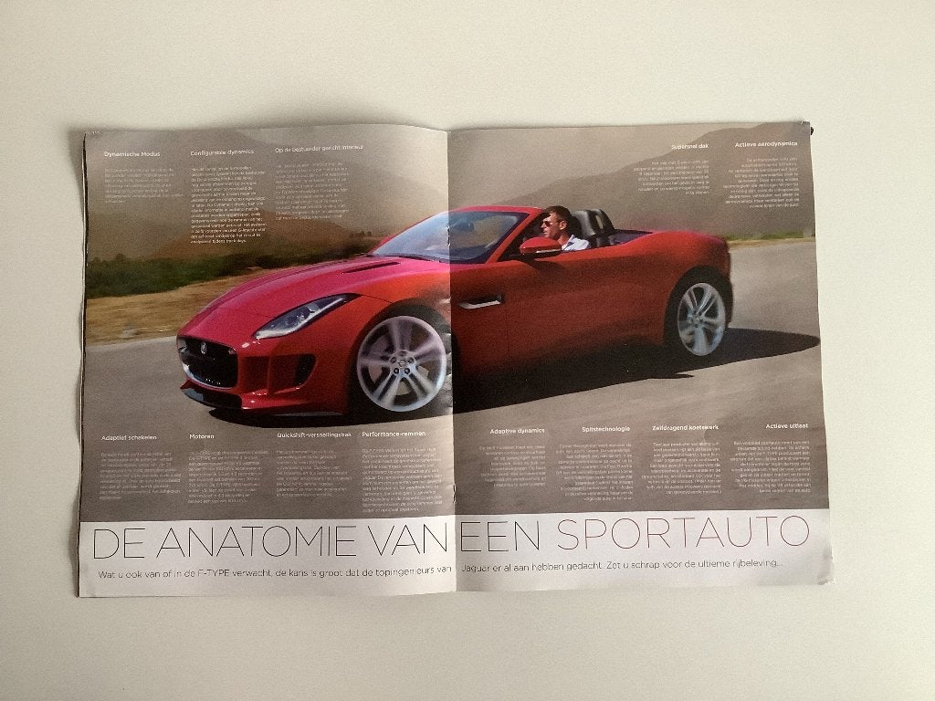 Jaguar F-Type brochure, Ophalen of Verzenden, Zo goed als nieuw, Overige merken