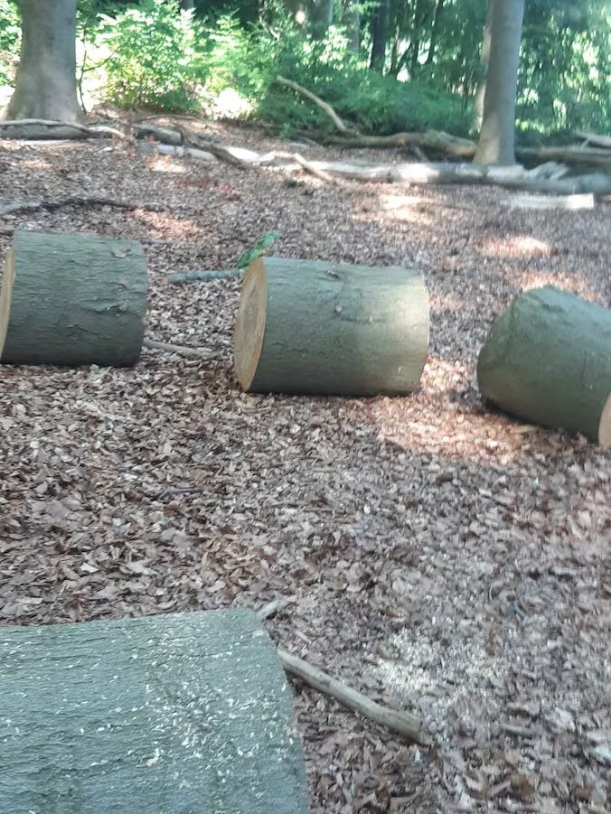 Opruimen bomen (gratis), Ophalen