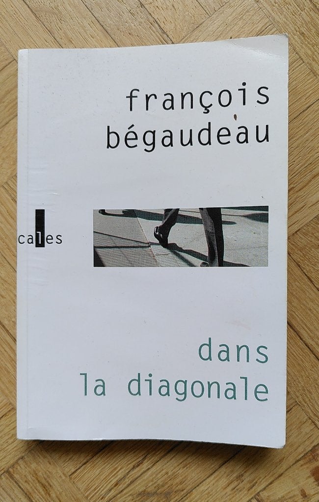 François Bégaudeau - Dans la diagonale, Ophalen of Verzenden