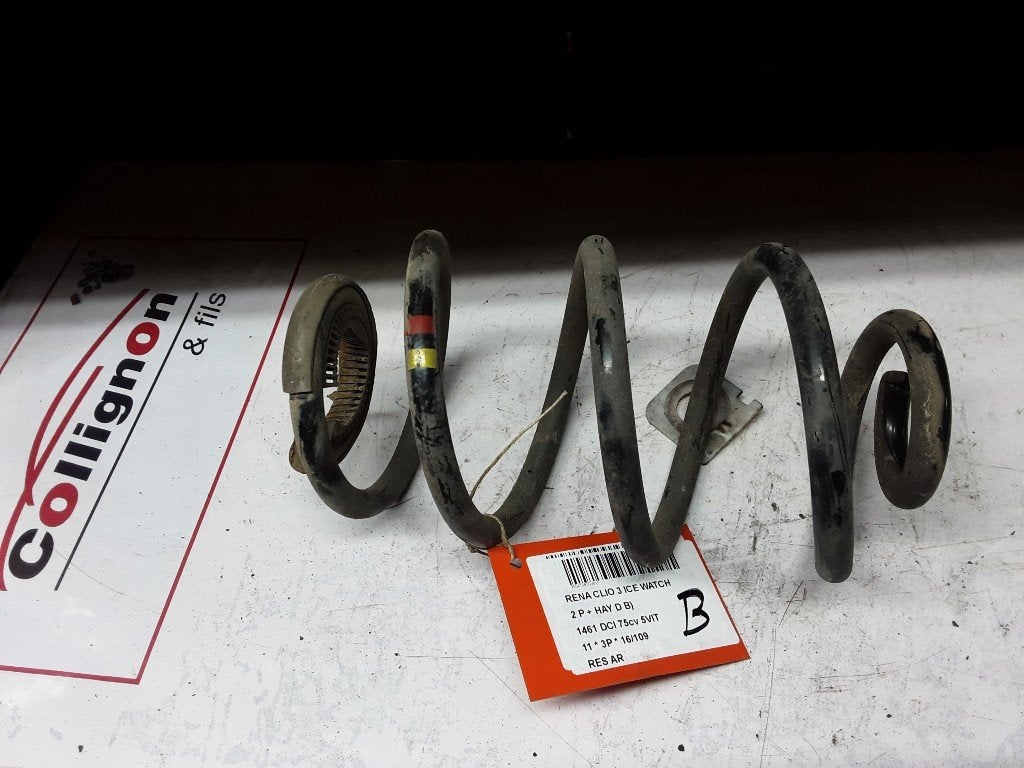 SCHROEFVEER ACHTER Renault Clio III (BR / CR), Gebruikt, Renault, Mevr. I. Hauben, Rue de l'Espoir 34 34
4030  GRIVEGNÉE, BE