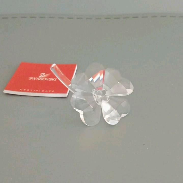 Swarovski Klavertje Vier, Enlèvement