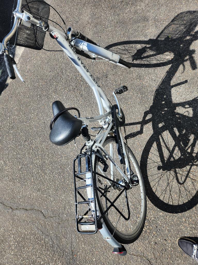 Damesfiets, Ophalen of Verzenden