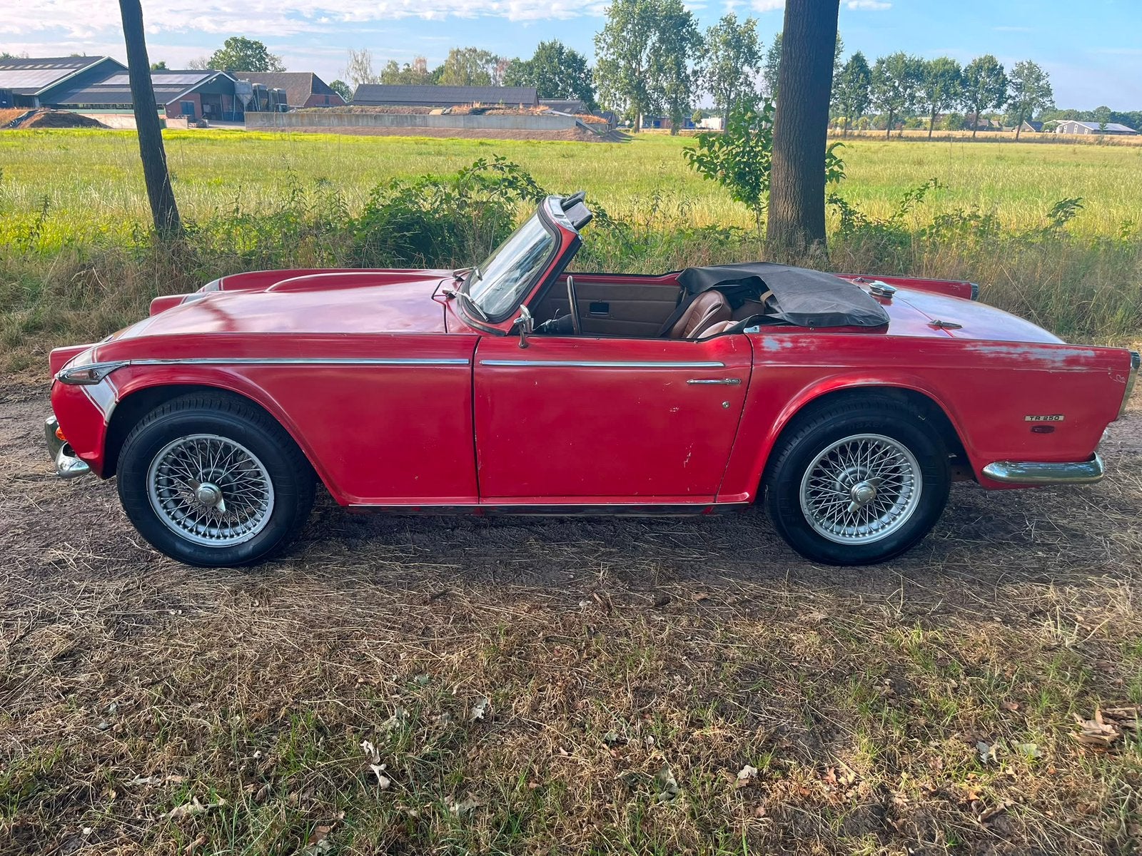 Triumph Tr250 / 1968 / gereviseerde motor, foto 3