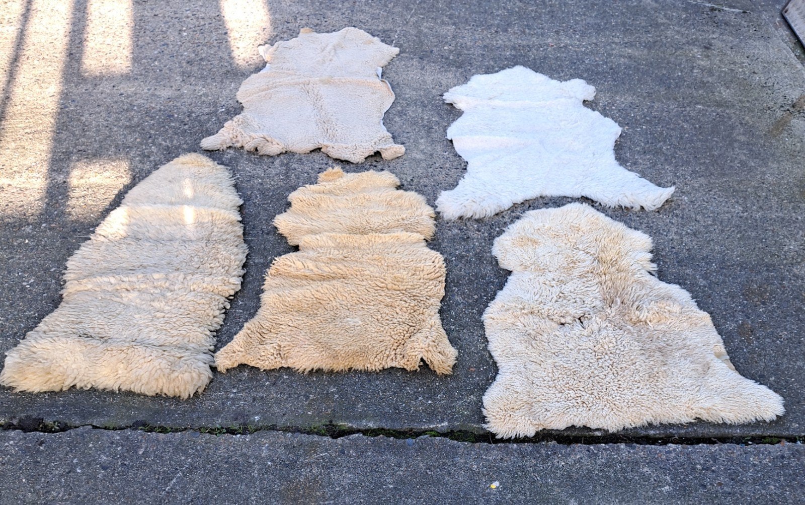 Vacht vachten schapenvachten decoratie, Verzenden