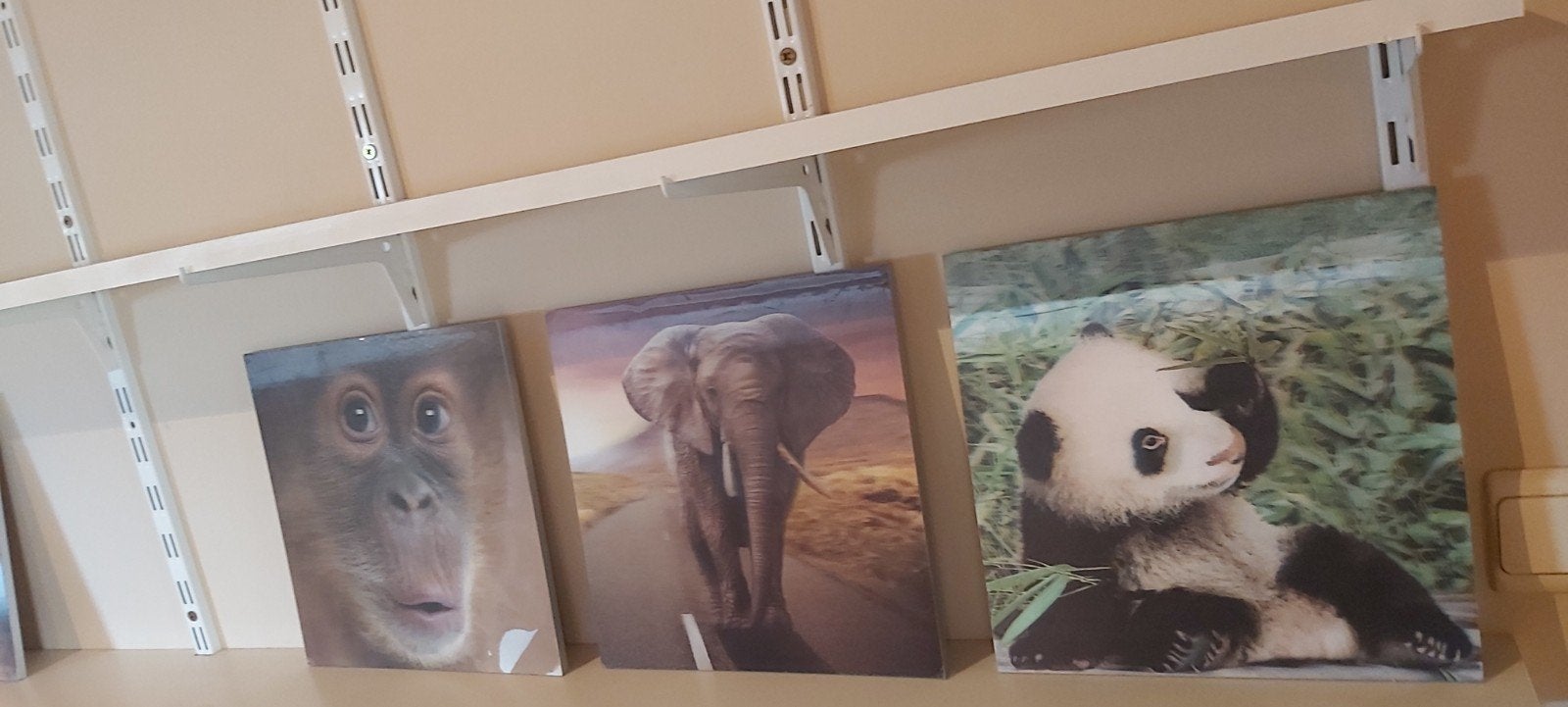 3 kaders dieptezicht, Collections, Cartes de téléphone, Enlèvement