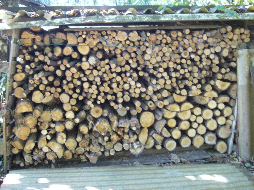bois de chauffage, Jardin & Terrasse, 3 à 6 m³, Enlèvement, Autres essences de bois, Bûches