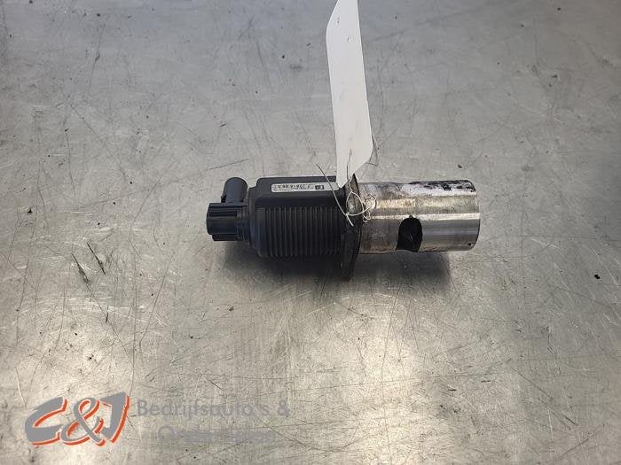Valve RGE d'un Opel Vivaro, -, Opel, 3 mois de garantie, Utilisé
