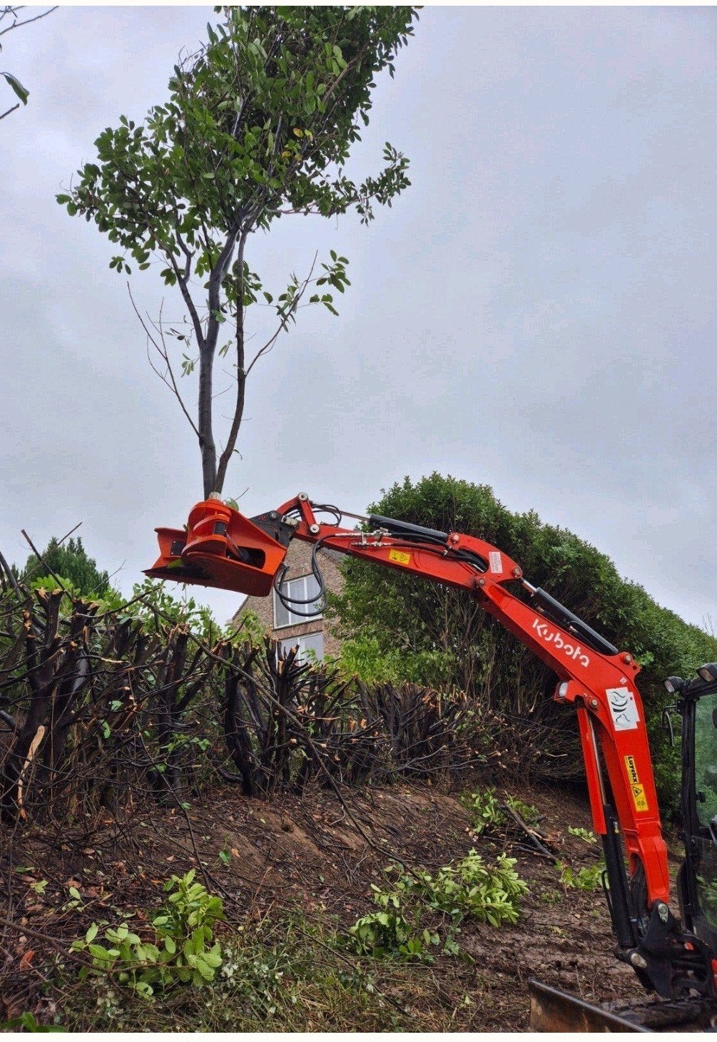 Hagen &Bomen rooien / Machinaal knippen/Snoeien