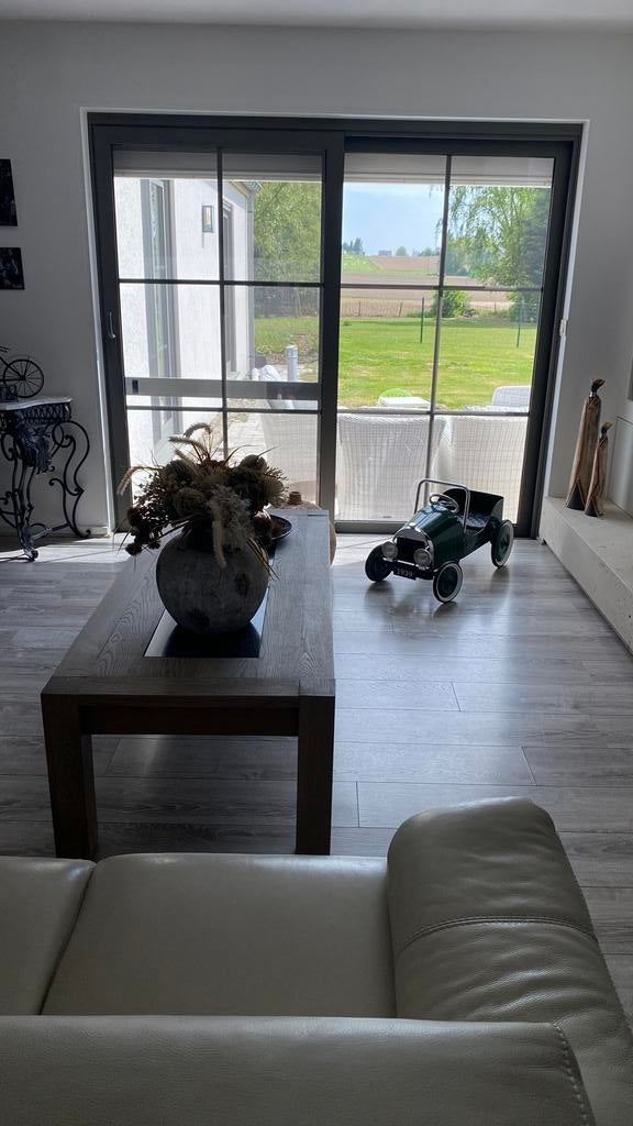 Salontafel en antiekenkast ., Immo