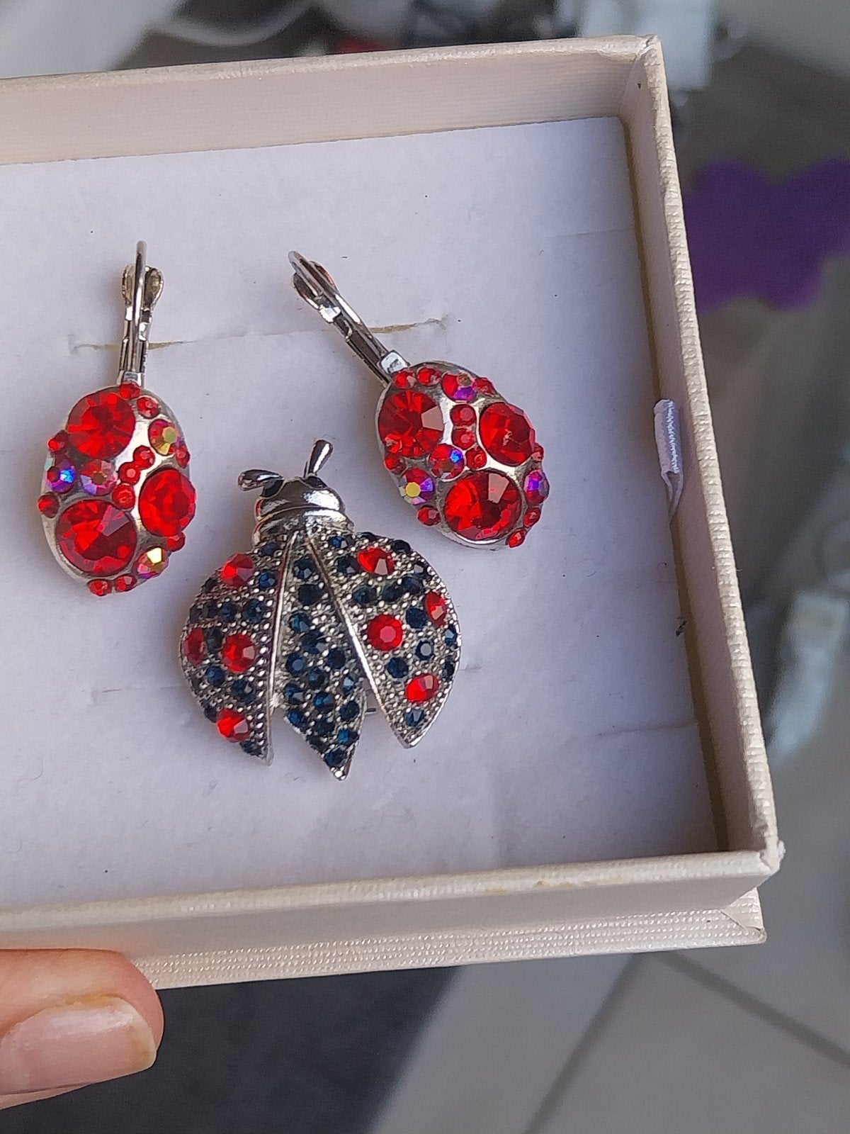 Vintage sieradenset lieveheersbeestje (broche & oorbellen), Handtassen en Accessoires, Bedels, Ophalen, Zilver