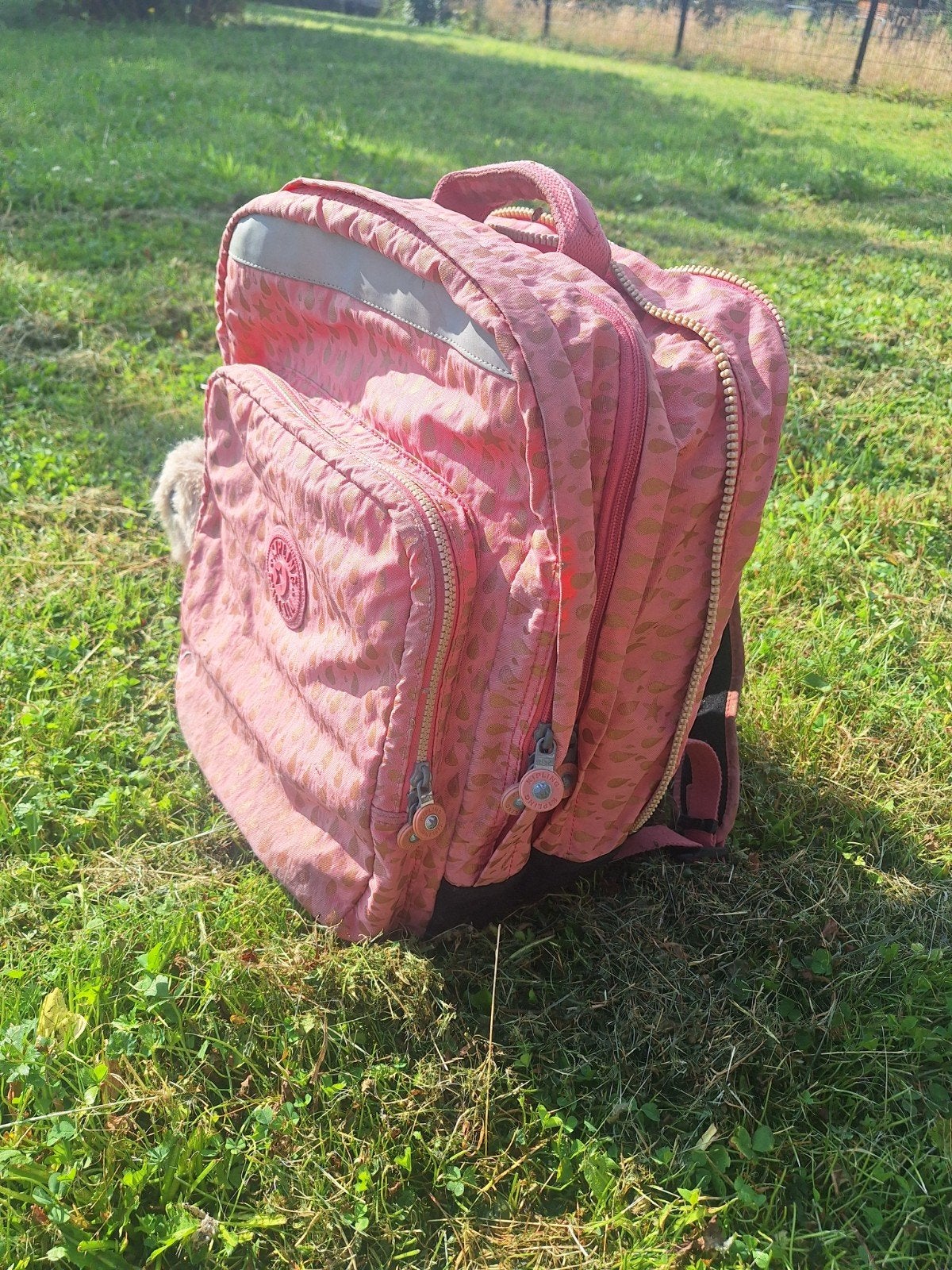 Sac à dos kipling, Enlèvement