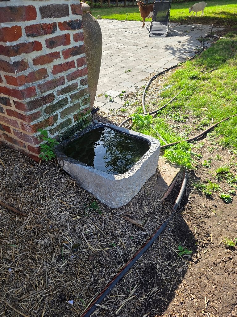 Bac en pierre bleue, Jardin & Terrasse, Moins de 30 cm, Pierre, Enlèvement, Utilisé