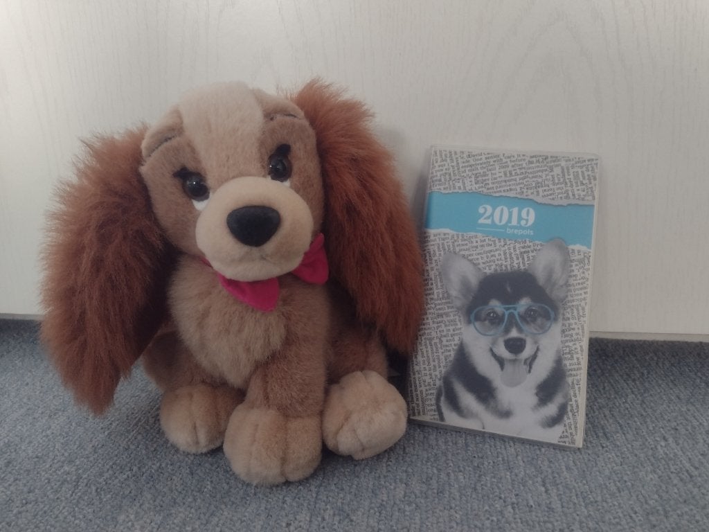 Agenda Chien 2019, Divers, Agendas, Enlèvement ou Envoi, Neuf