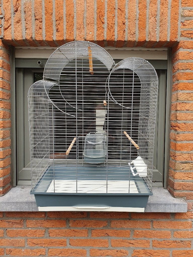 cage à oiseaux, Enlèvement, Utilisé, Cage à oiseaux