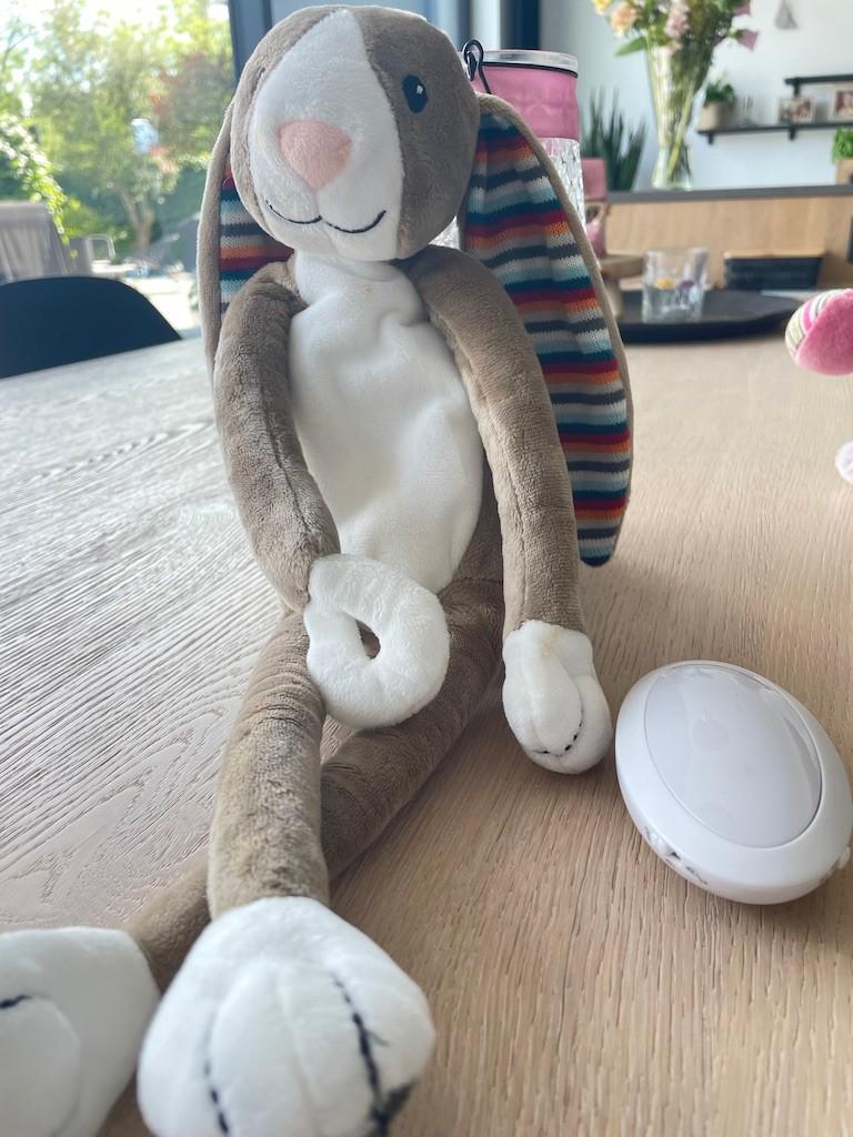 slaapknuffel, Ophalen, Konijn, Zo goed als nieuw, Middelgroot (20 tot 80 cm)
