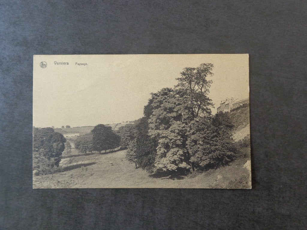 1 ancienne carte postale de Verviers, Collections, Enlèvement