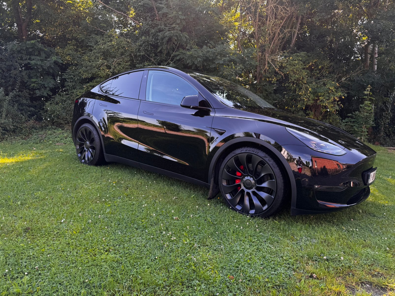 Tesla Model Y Performance, Autos, Achat, Particulier, Model Y, Électrique